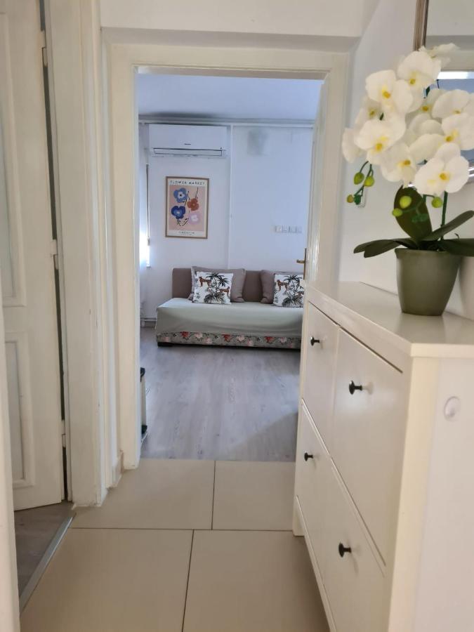 St Anthony'S House With Parking Apartment ซาเกร็บ ภายนอก รูปภาพ